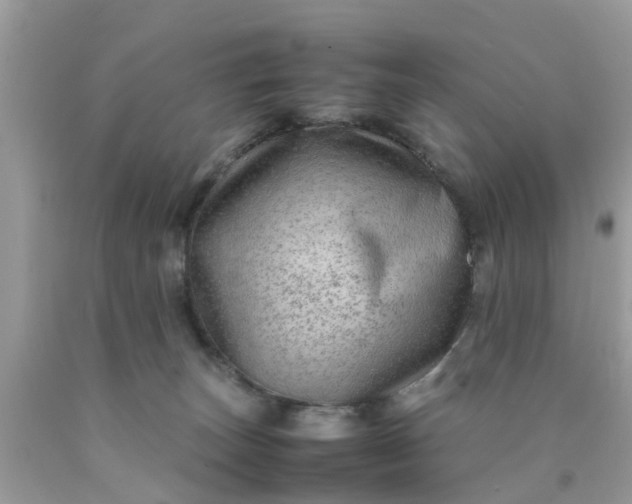 X0000090430179200707272140