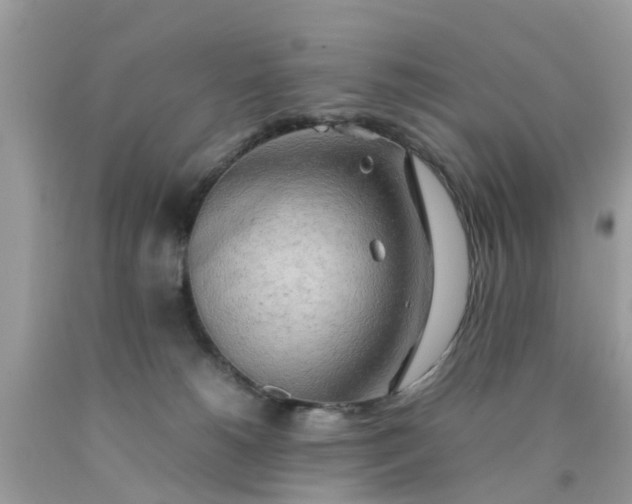 X0000090430180200707272140