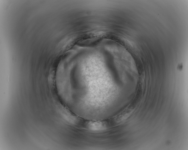 X0000090430181200707272140