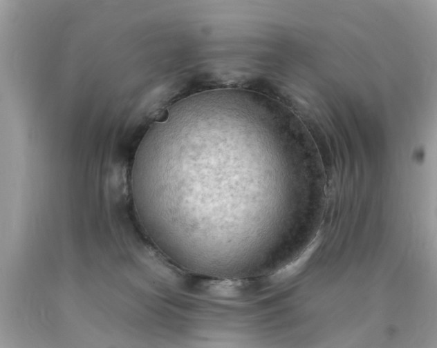 X0000090430182200707272140