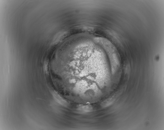 X0000090430185200707272140