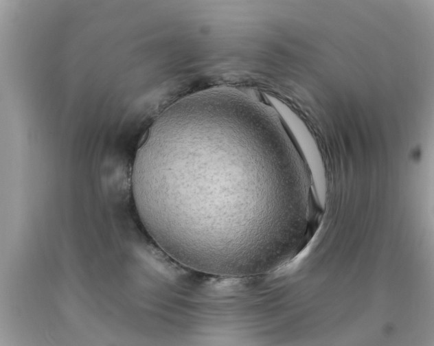 X0000090430186200707272140