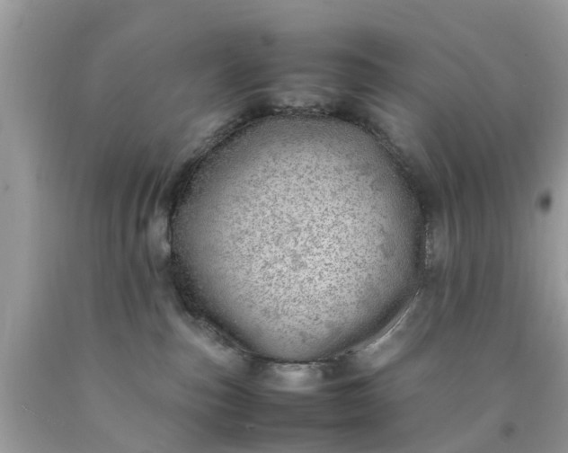 X0000090430187200707272140