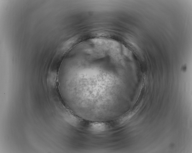 X0000090430189200707272140