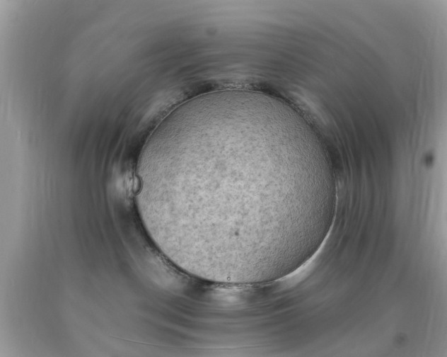 X0000090430190200707272140