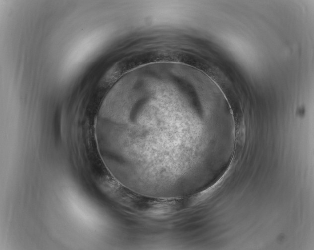 X0000090430191200707272140