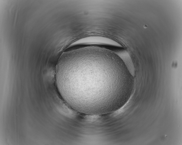 X0000090430192200707272140