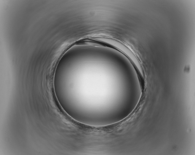 X0000090430193200707272139