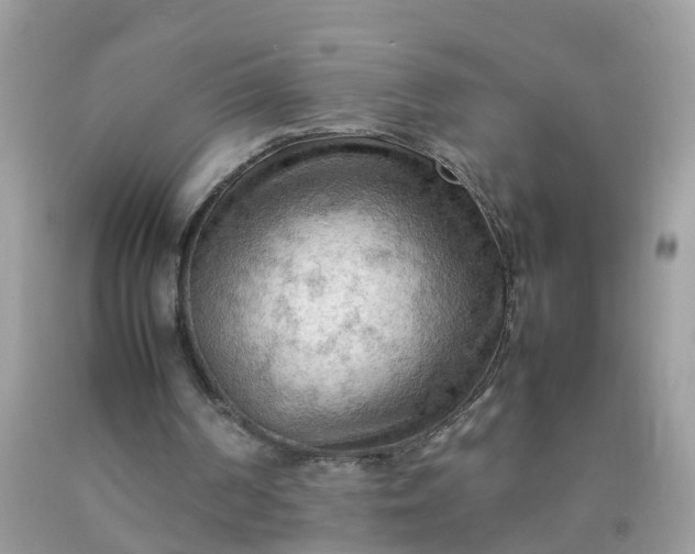 X0000090430194200707272139