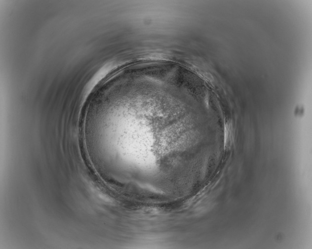 X0000090430195200707272139