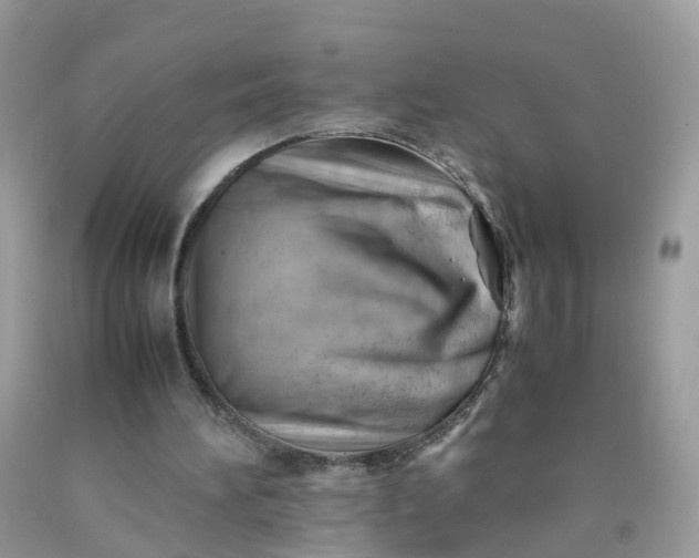 X0000090430196200707272139