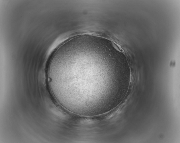 X0000090430198200707272139