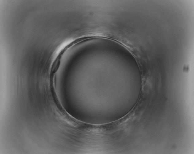 X0000090430200200707272139