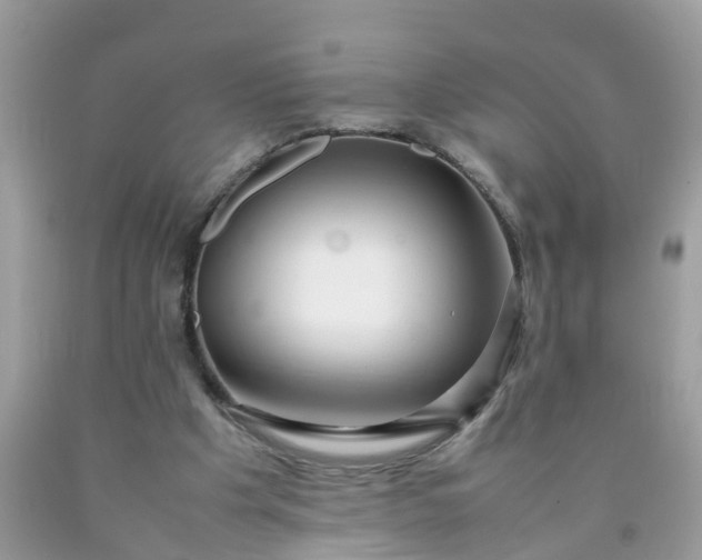 X0000090430201200707272139