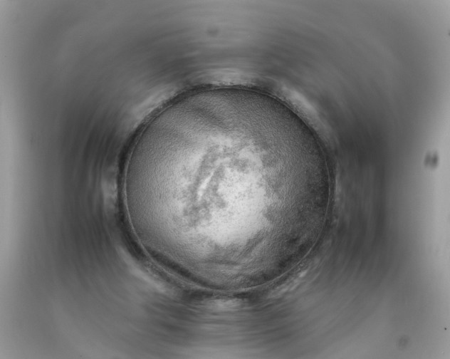 X0000090430202200707272139