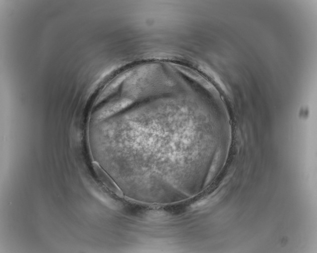 X0000090430203200707272139