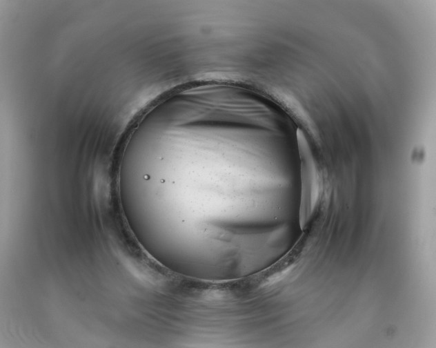 X0000090430204200707272139