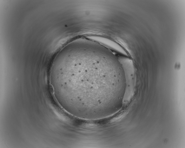 X0000090430205200707272139