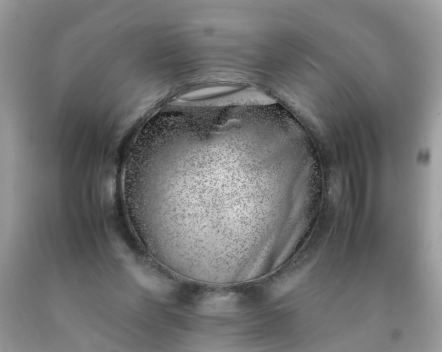 X0000090430206200707272139