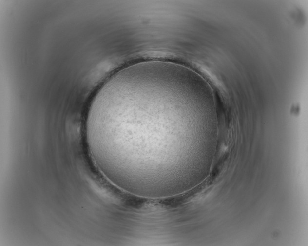 X0000090430207200707272139