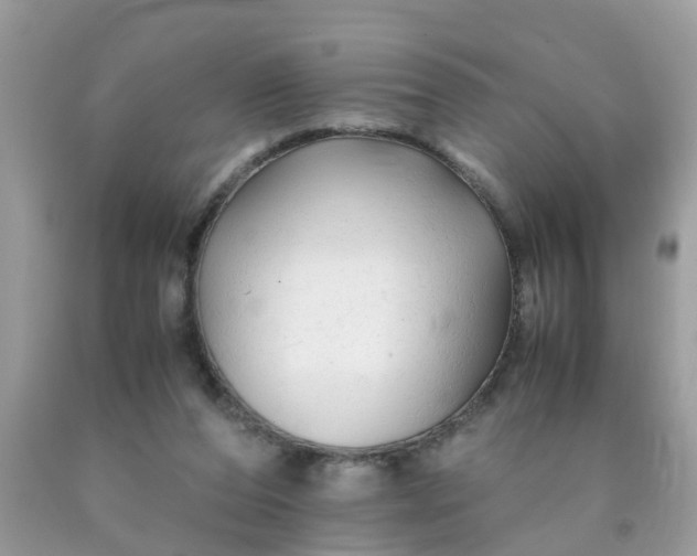 X0000090430208200707272139