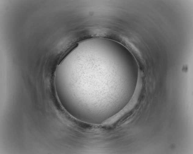 X0000090430209200707272139