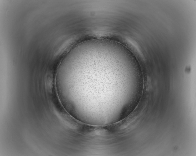 X0000090430210200707272139