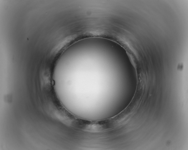 X0000090430212200707272139