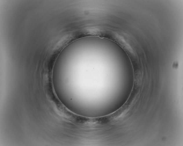 X0000090430213200707272139