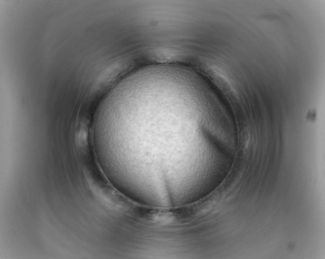 X0000090430214200707272139