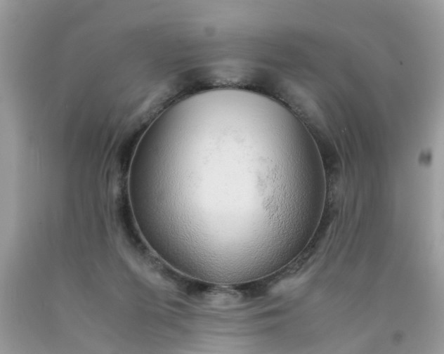 X0000090430215200707272139