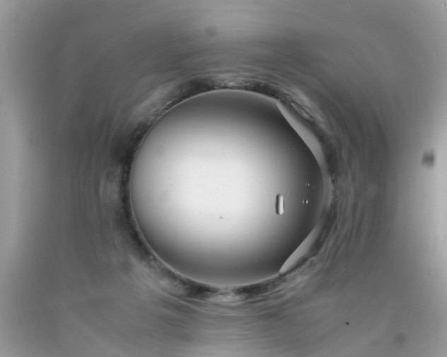 X0000090430217200707272139