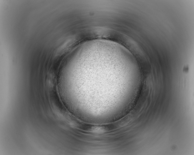 X0000090430218200707272139