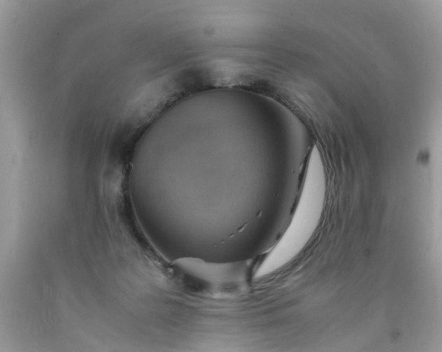 X0000090430219200707272139