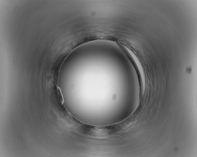 X0000090430221200707272138