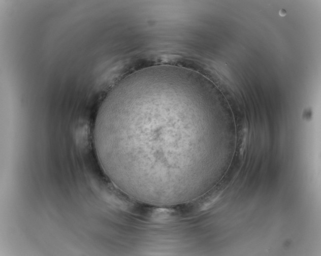 X0000090430222200707272138