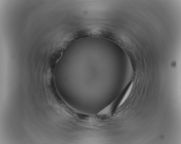 X0000090430223200707272138