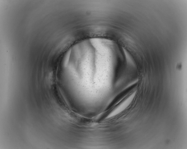 X0000090430224200707272138