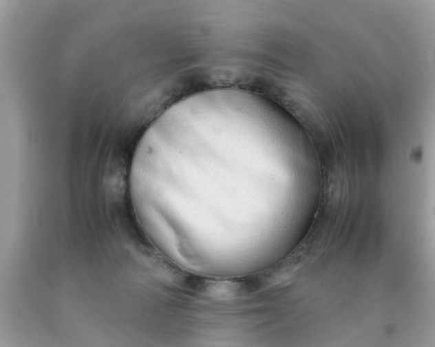 X0000090430226200707272138