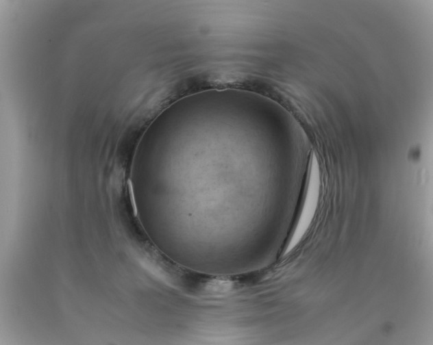 X0000090430227200707272138