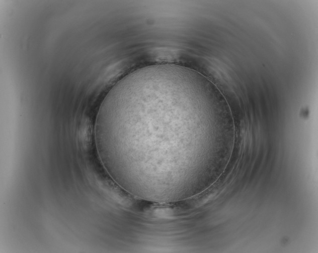 X0000090430228200707272138