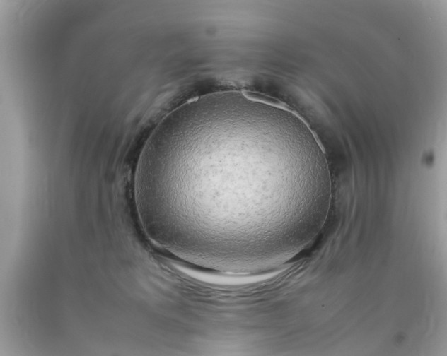 X0000090430229200707272138