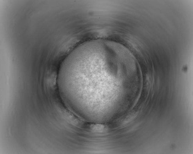 X0000090430230200707272138