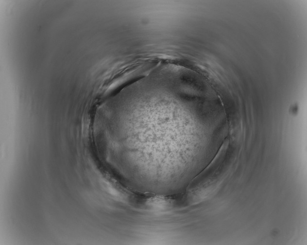 X0000090430231200707272138