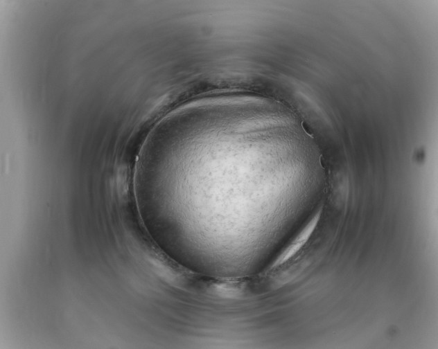 X0000090430232200707272138