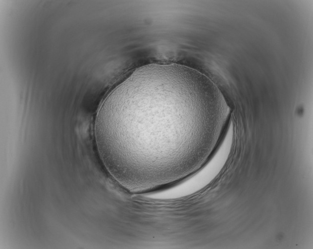 X0000090430233200707272138