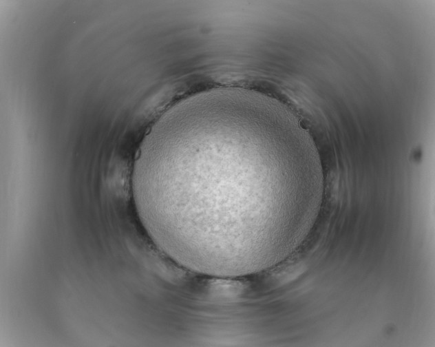 X0000090430234200707272138