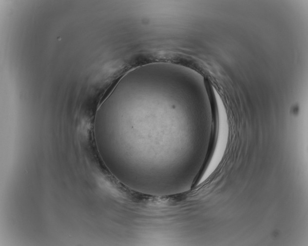 X0000090430235200707272138