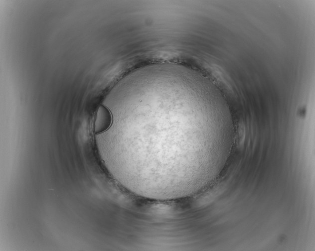 X0000090430236200707272138