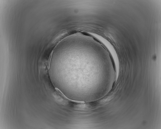 X0000090430237200707272138